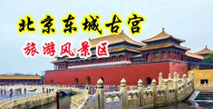 日本强奸抽搐高潮中国北京-东城古宫旅游风景区